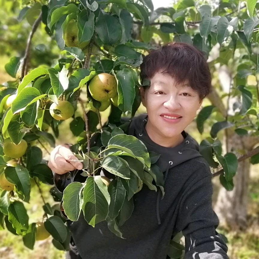 淑清  暖心小铺