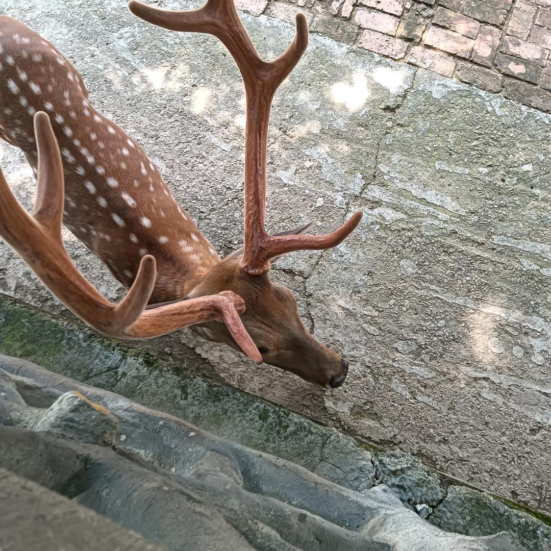 子恒服饰(承接各种女装订单)