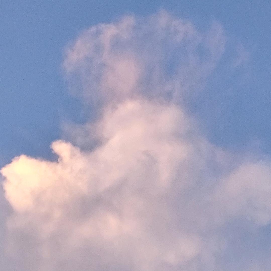 吃拼好饭吧