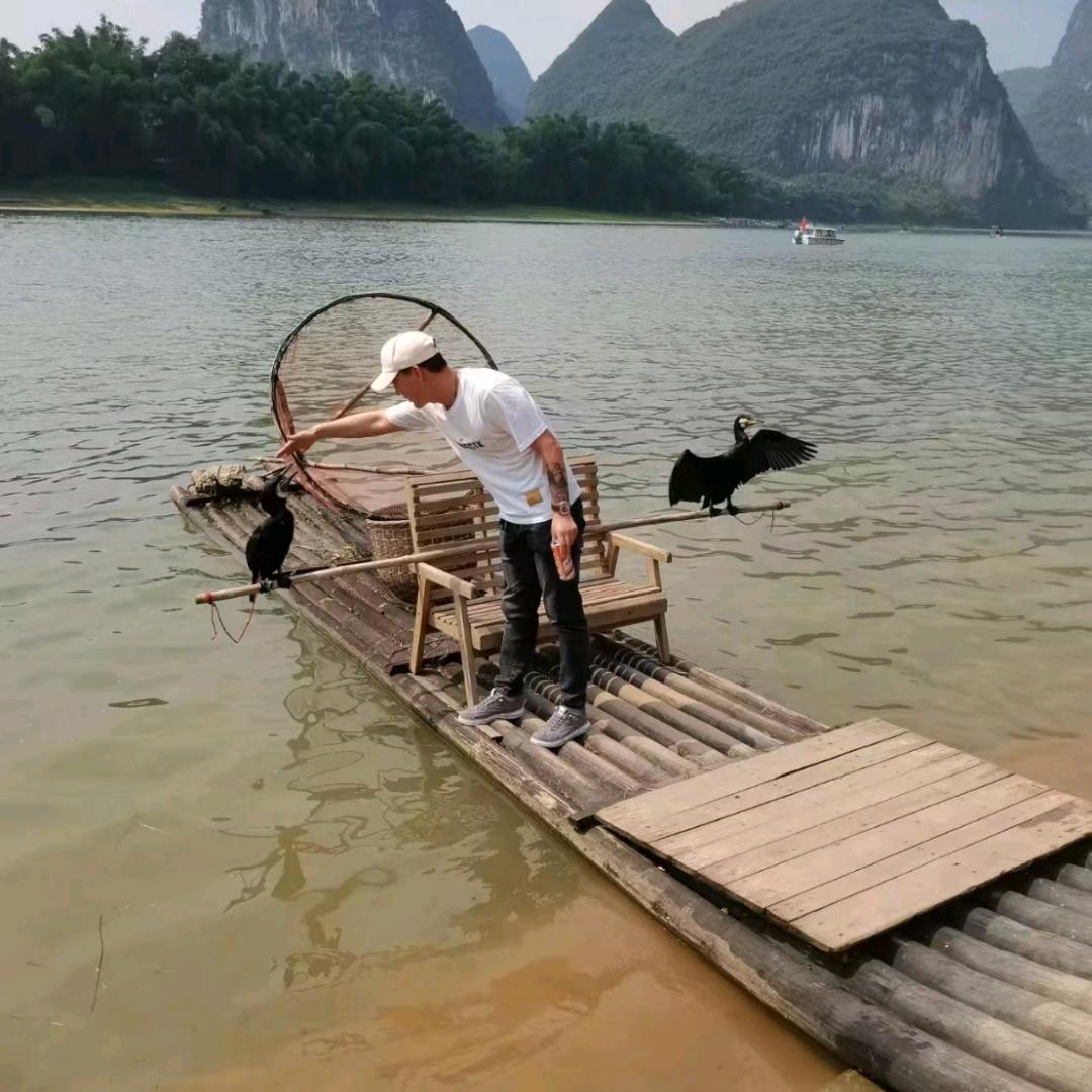 蚂蚁