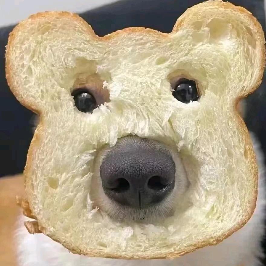 小猪要配齐