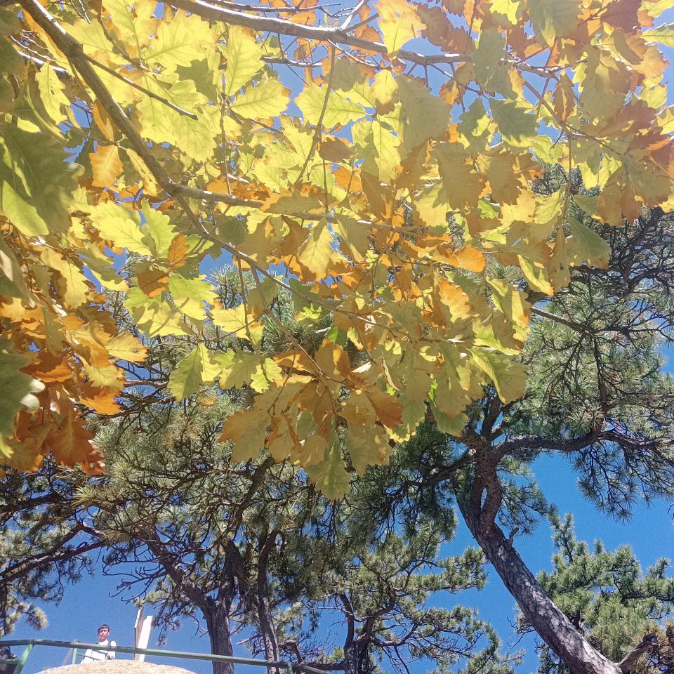 龙湾～心之港湾