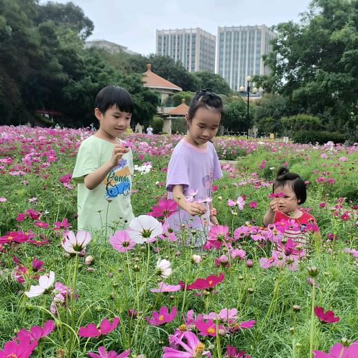 一起长大的小糯米