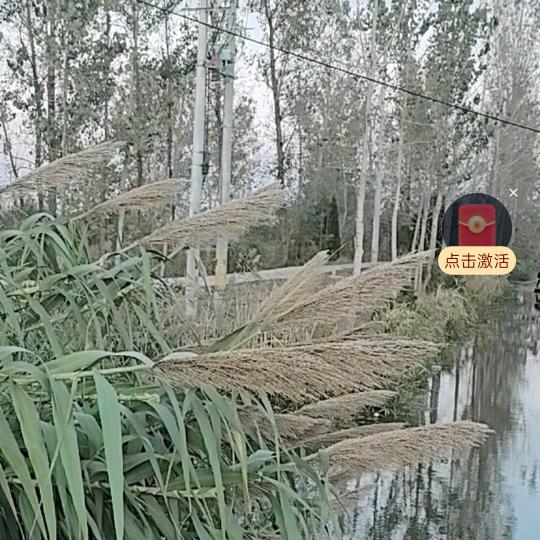 我的女人我来宠