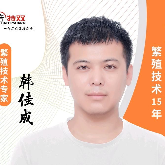 倍特双韩佳成聊狗