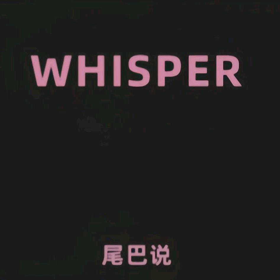 尾巴说WHISPER