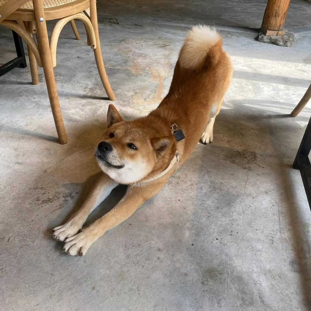 ㅤ🍔