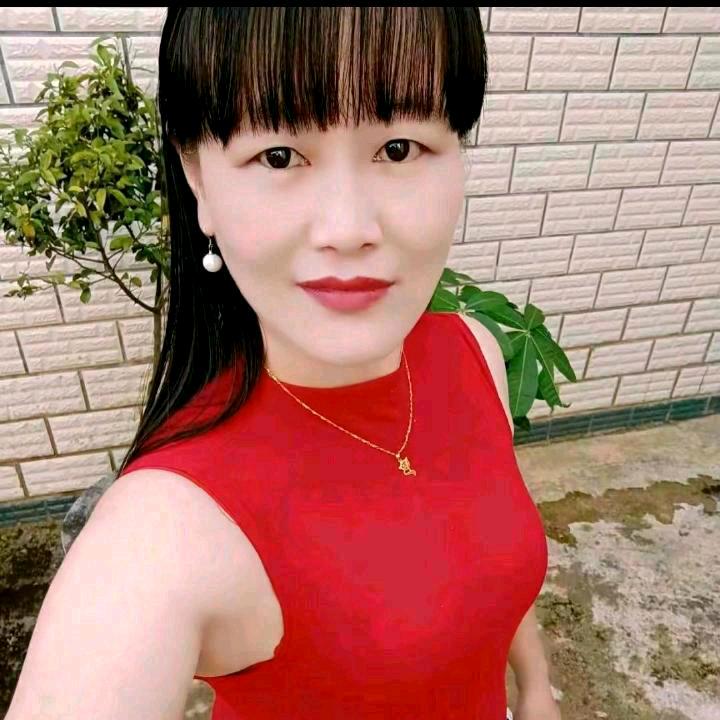 溜溜梅
