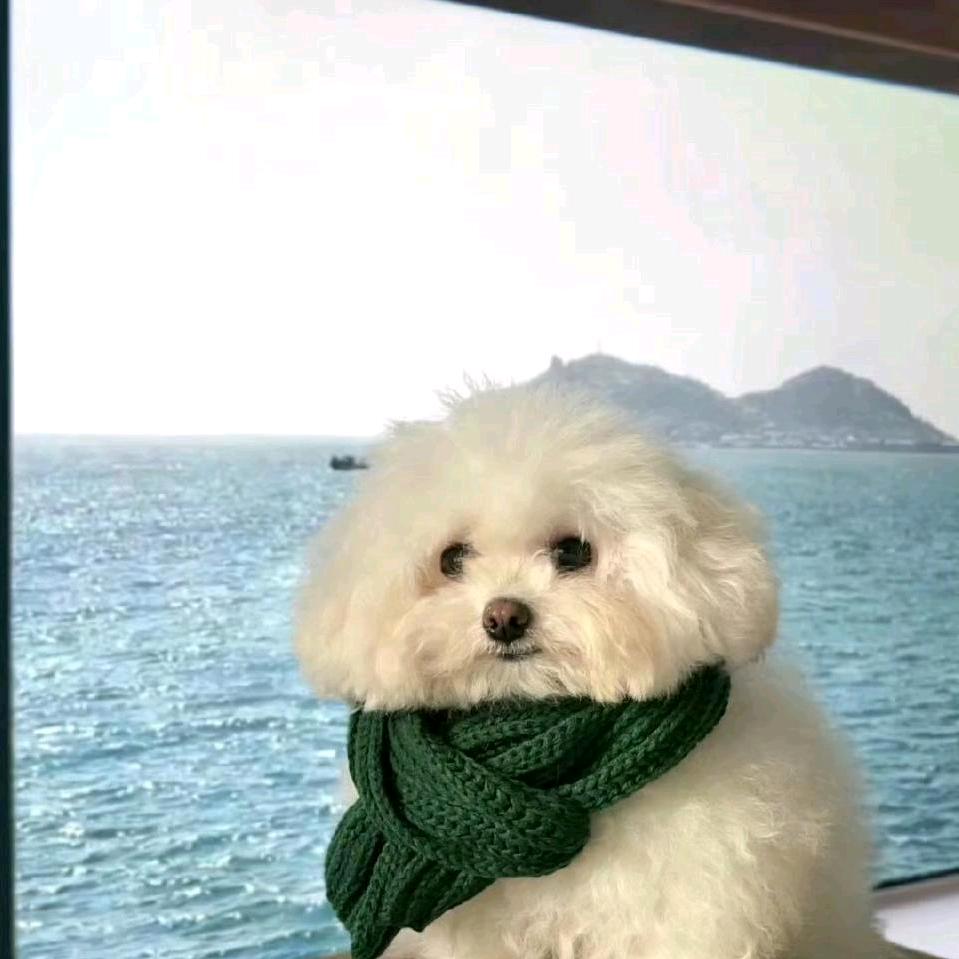 桔子味鱼干🌈🌈🌈头像