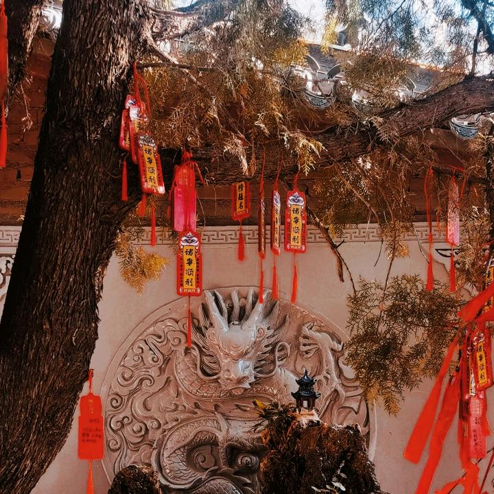 子鹤