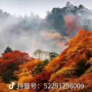 伤不起