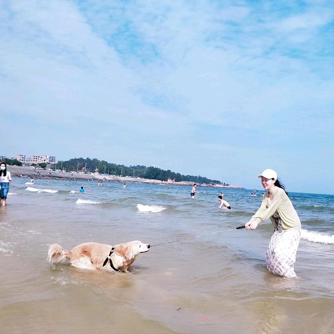 佩塔宠物店官方号