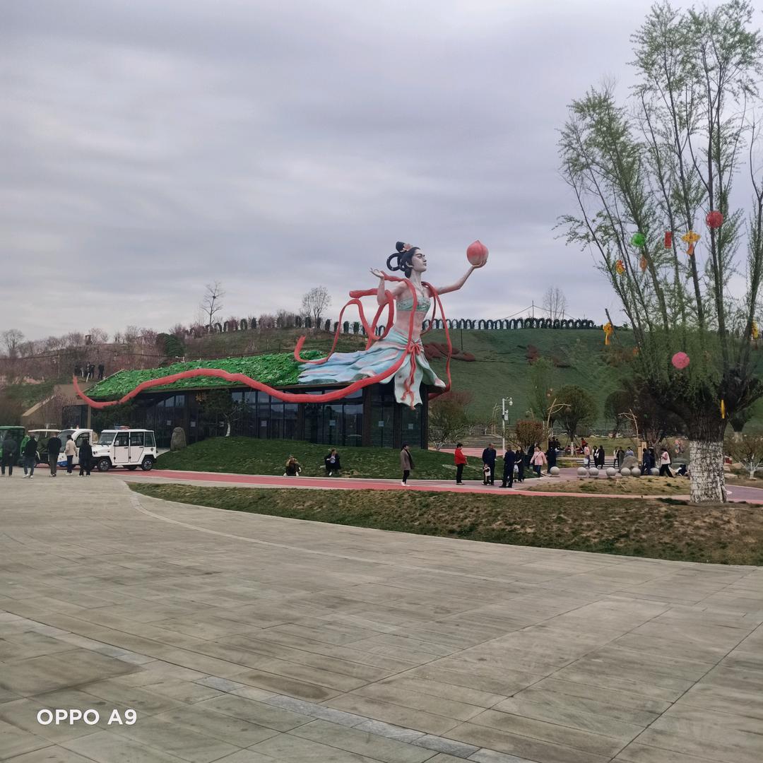 旬阳的哥
