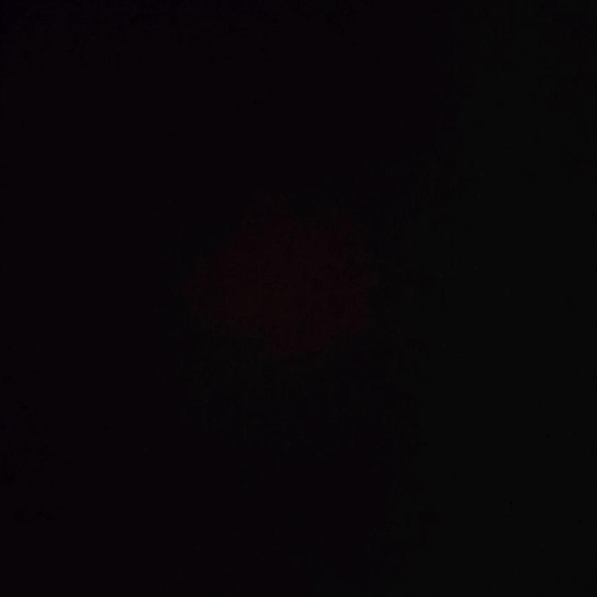 钧