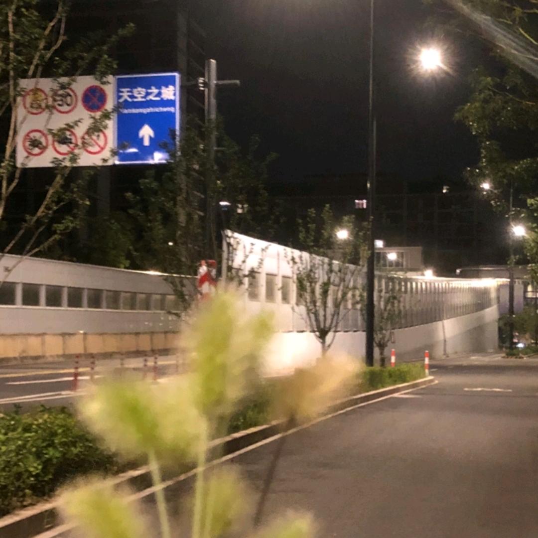 常常因为自己不够自卑而抽象