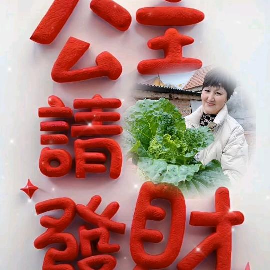 大雁南飞