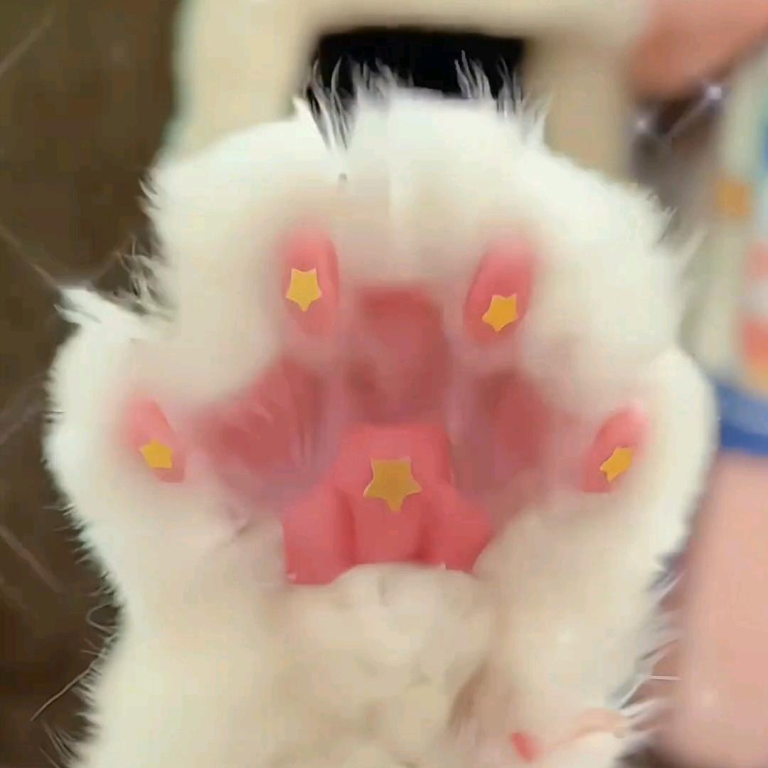 山河无恙🇨🇳浪挽星河