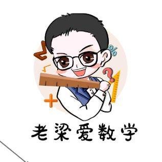 老梁爱数学