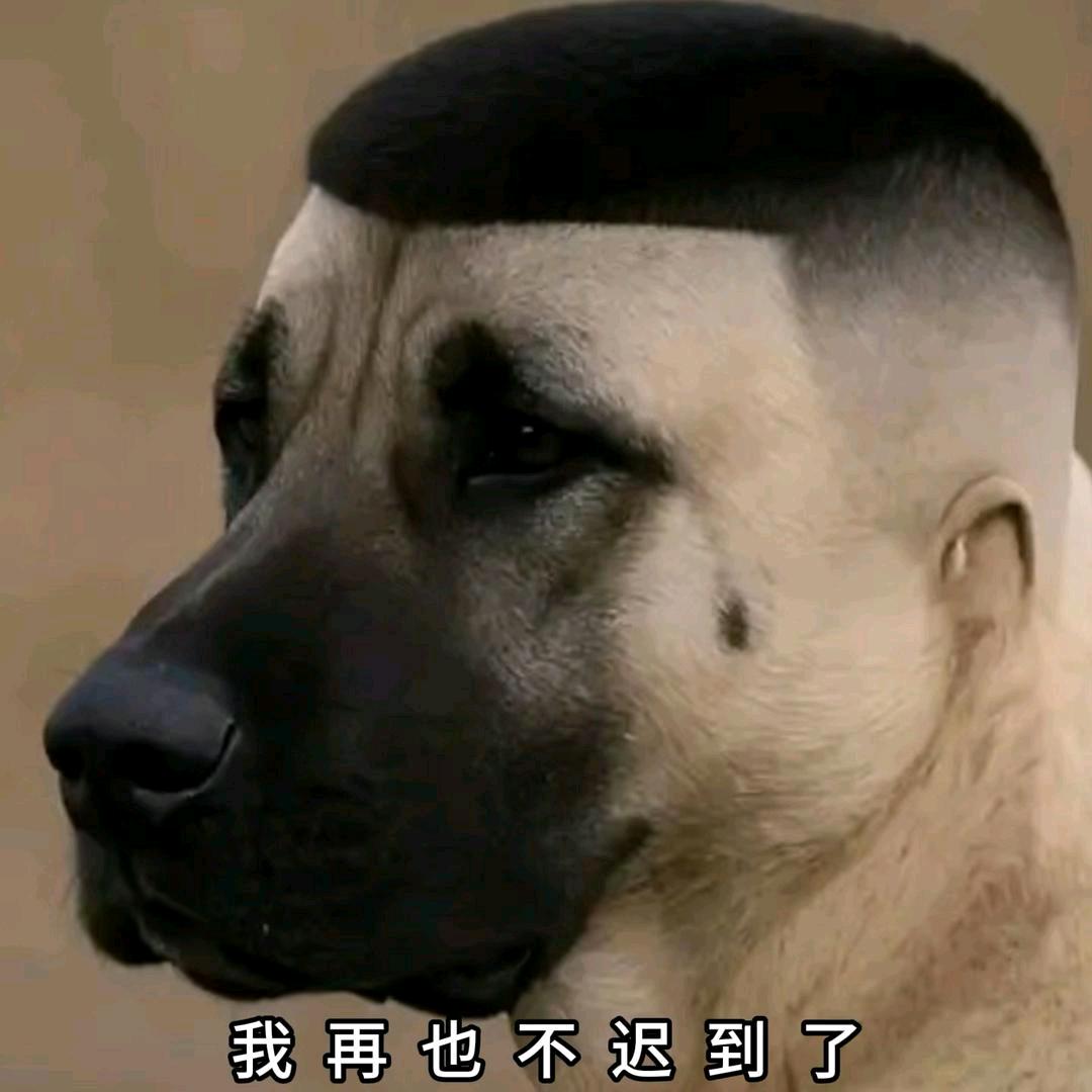 依旧︋🥥🥥♿️