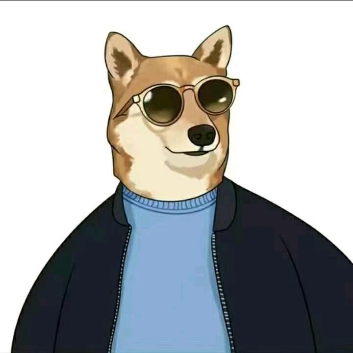 脚猾的小宝