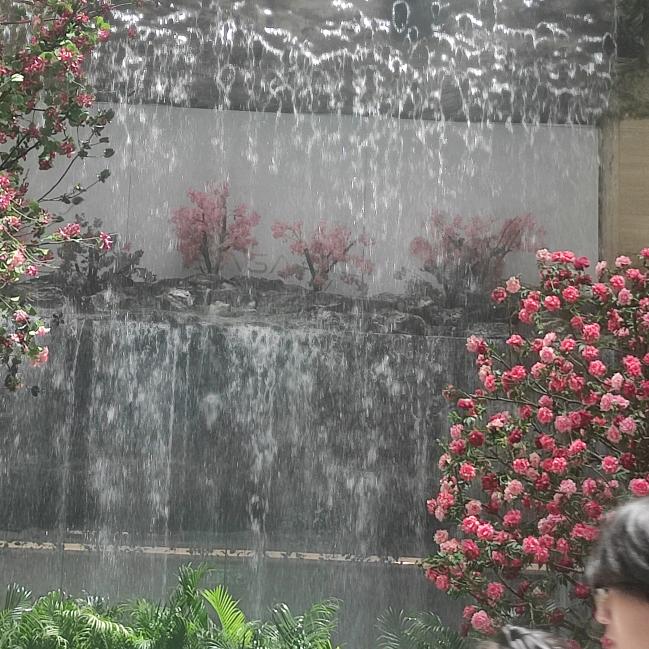 流年染指青春666