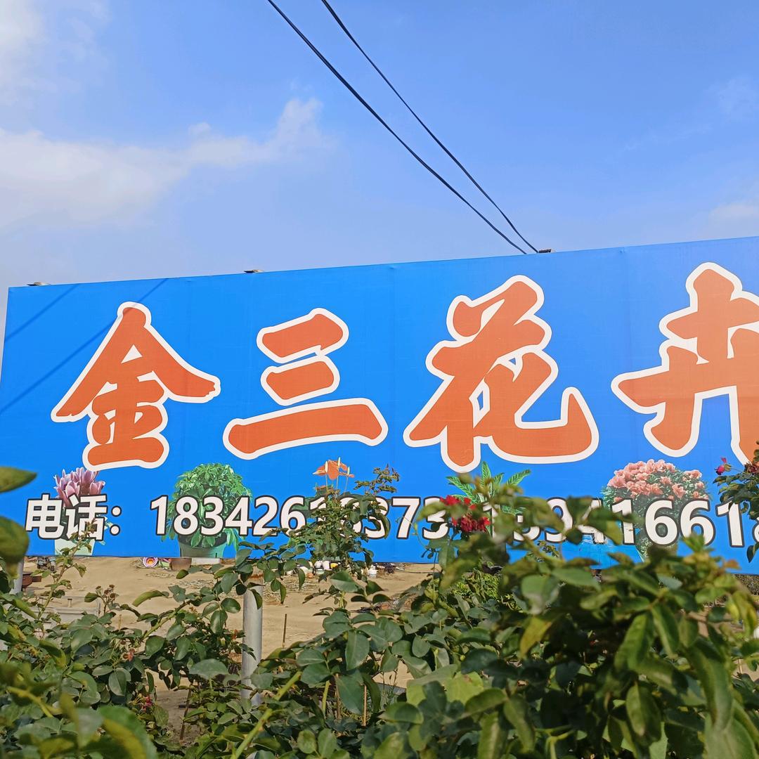 金三东北特产(小时候的味道)