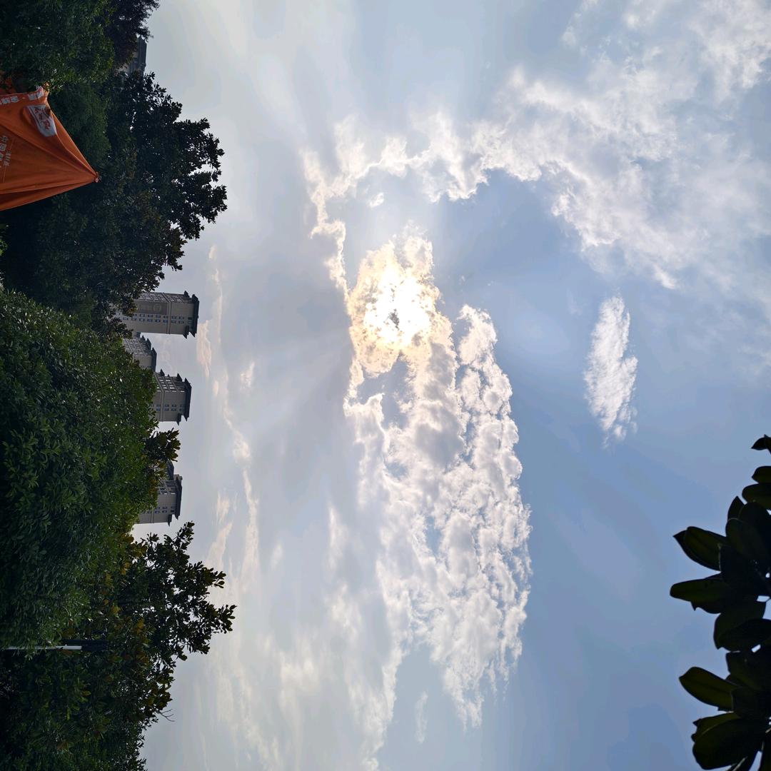 小小旭