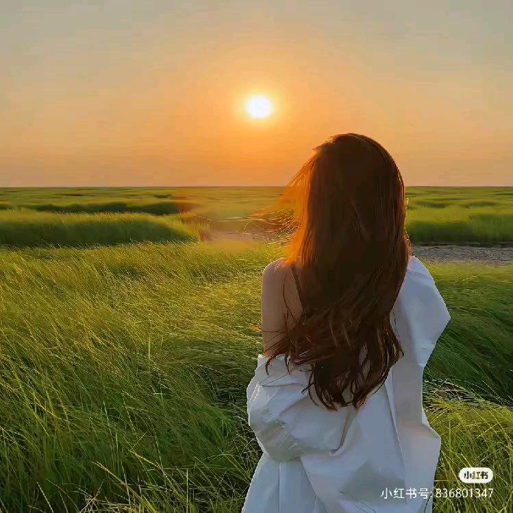 京东家电伏牛店宋月