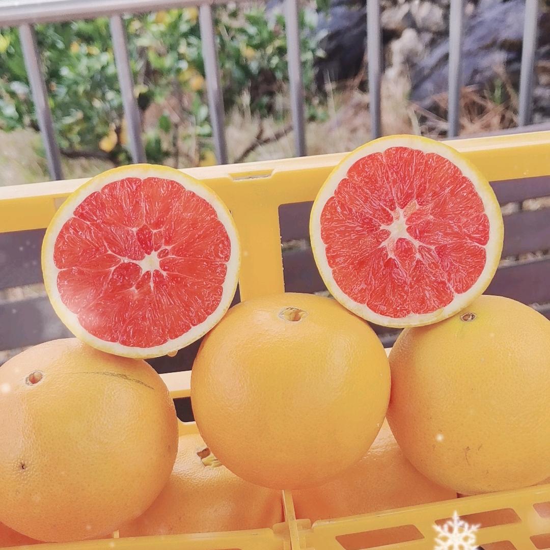 大户家水果（中华血橙产地直发）