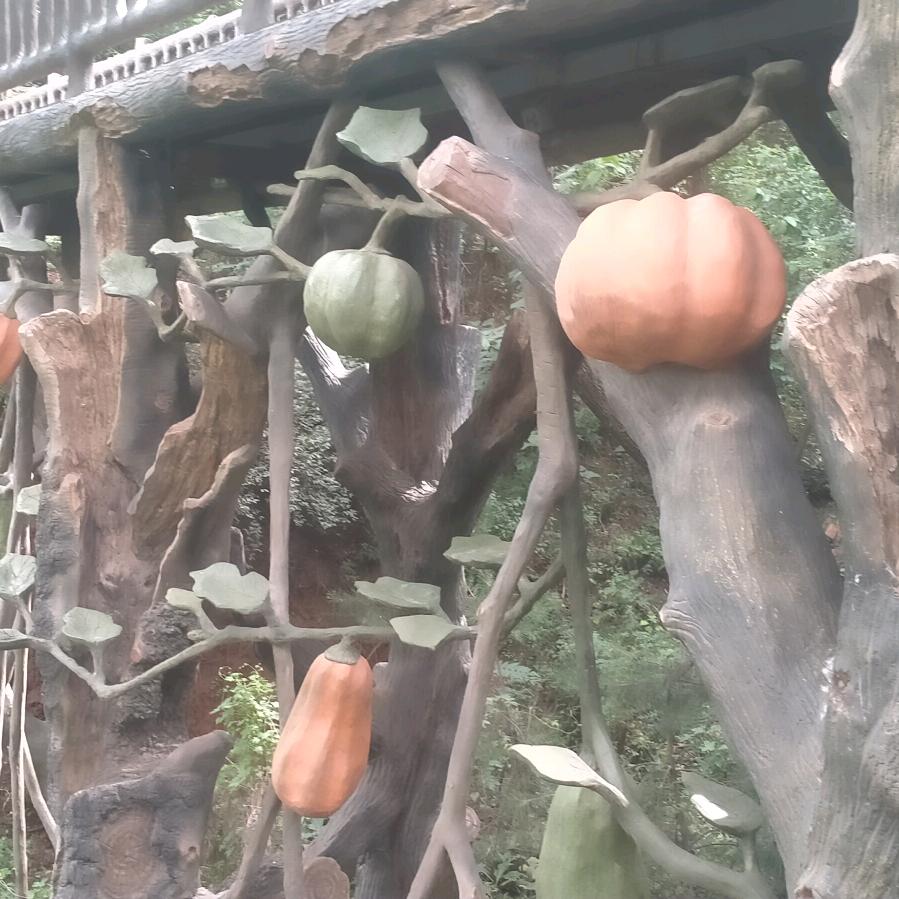 顺其自然