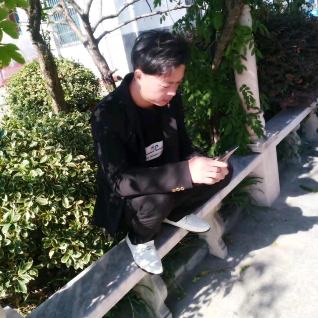 小赵常年供应各种绿化