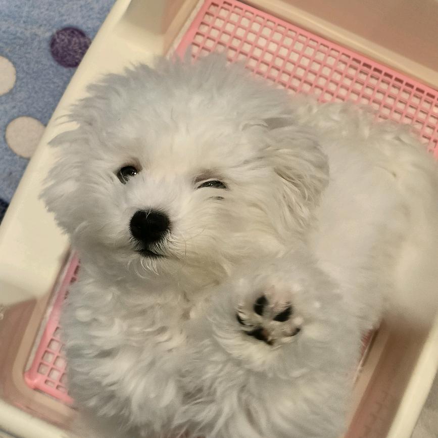 啾咪