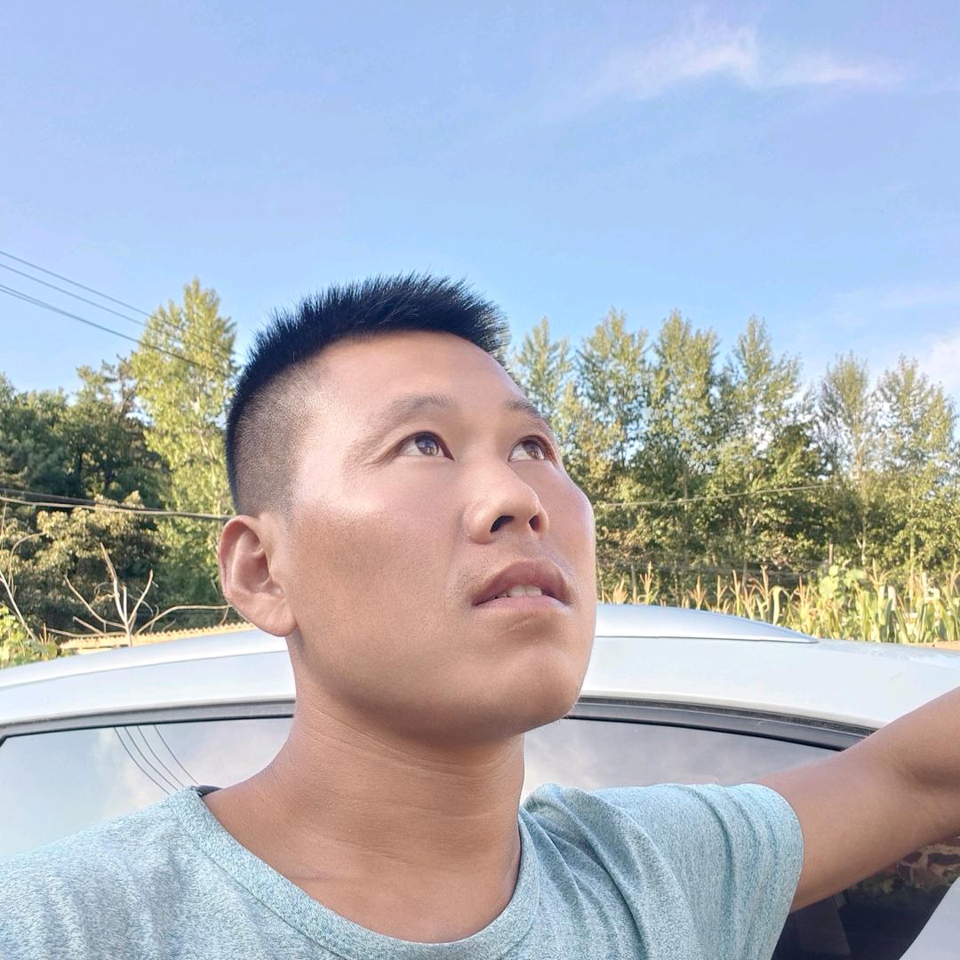 东北小杨
