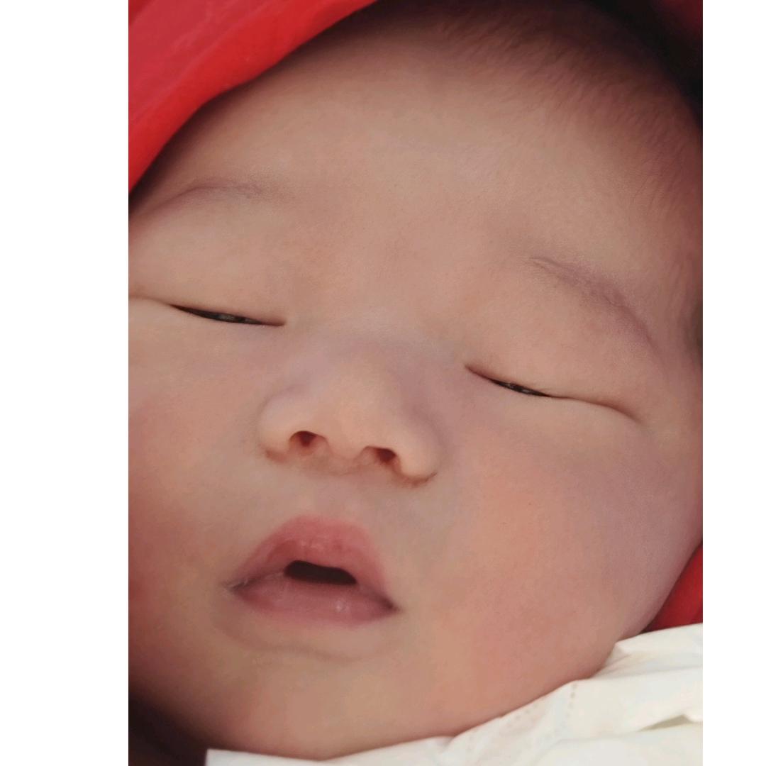 🐍蛇宝小十一成长记录