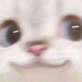 nnj