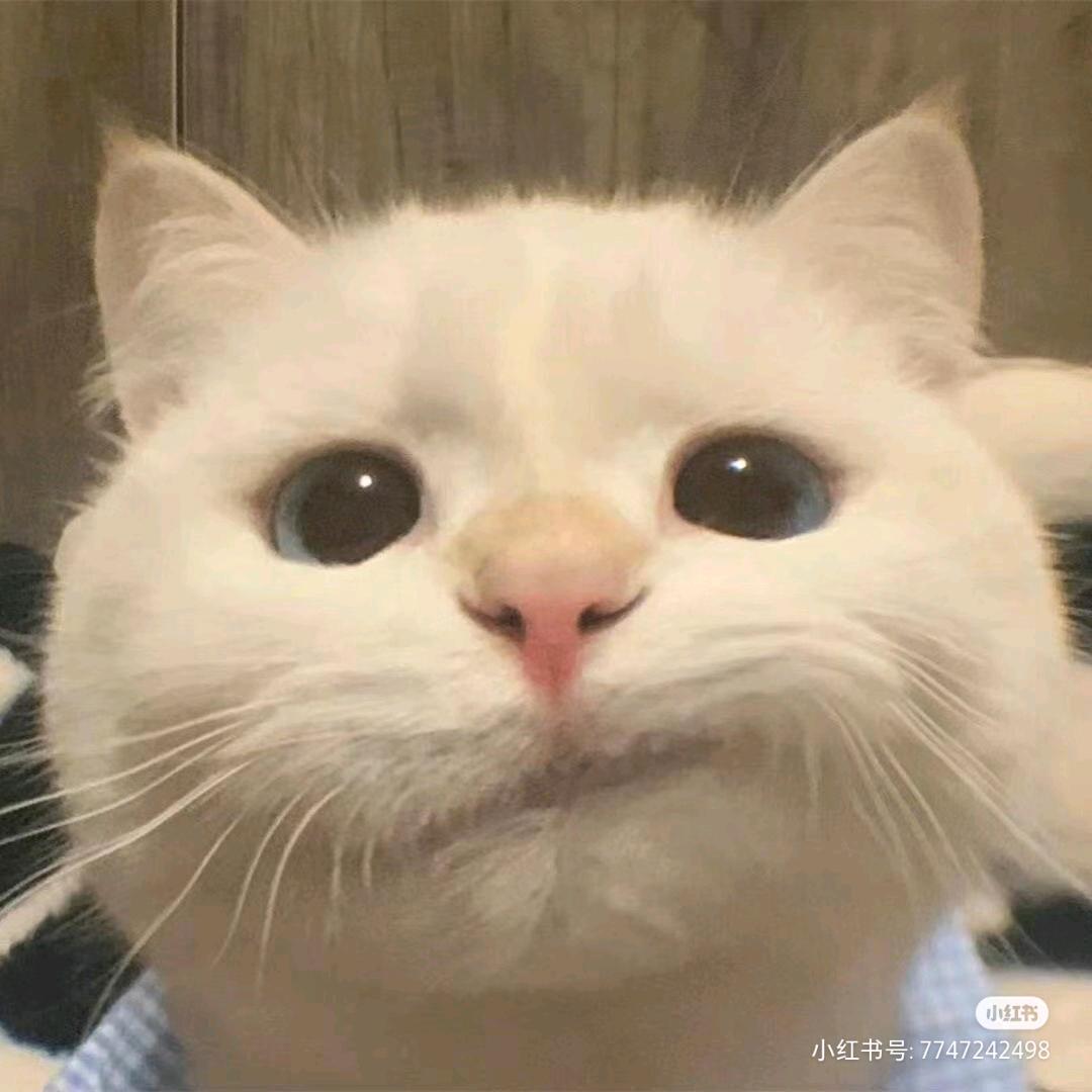 春日来信