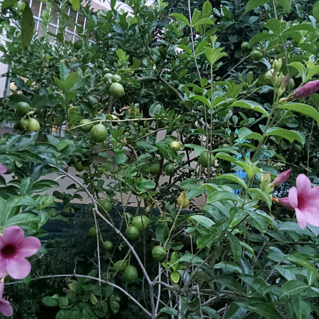 真诚相待，助人为乐