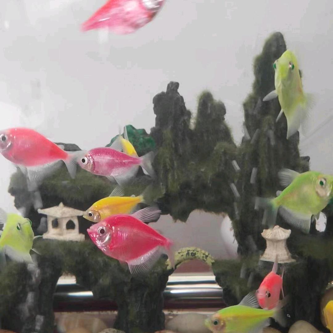 东北人在宁夏。