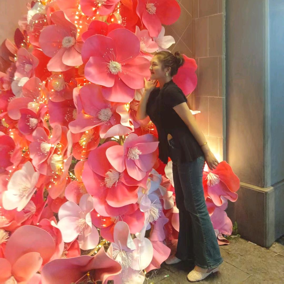 猪猪往哪跑（涨粉期）