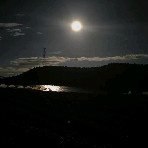 ঞ一见🍒钟情꧔ꦿ້໌ᮨ库洛米椰ᥫ 🕊