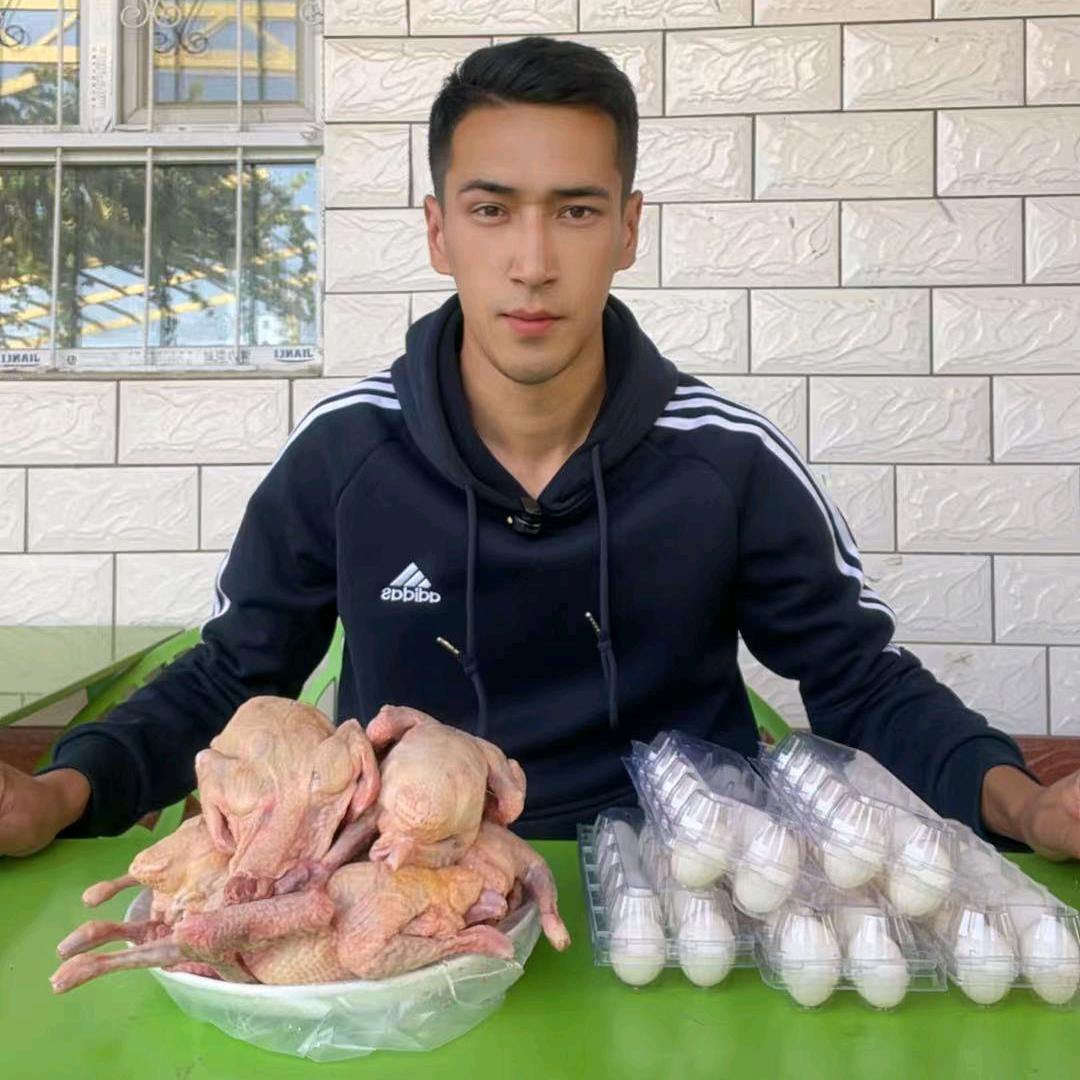 新和🕊️伊力哈鸽子