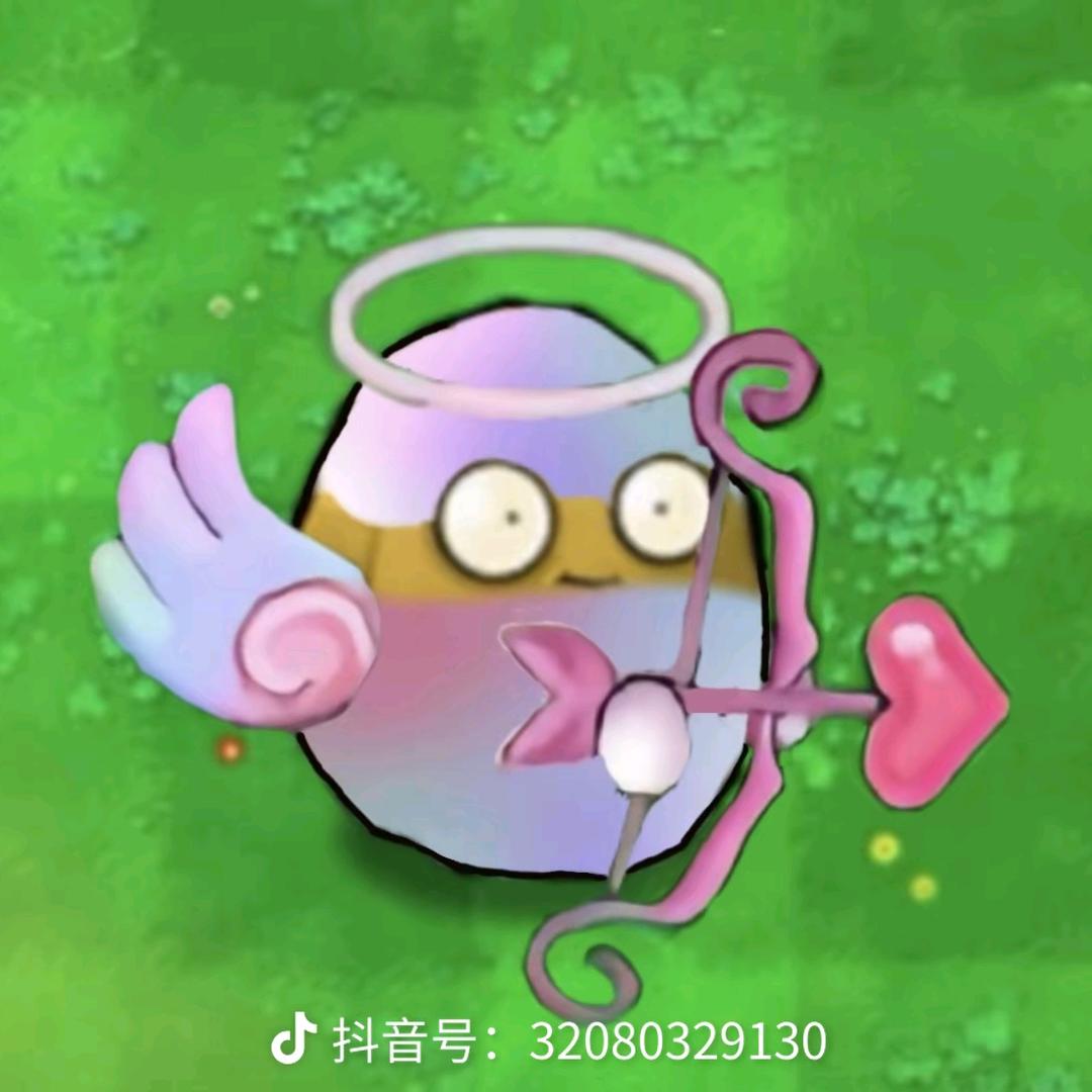 柒律