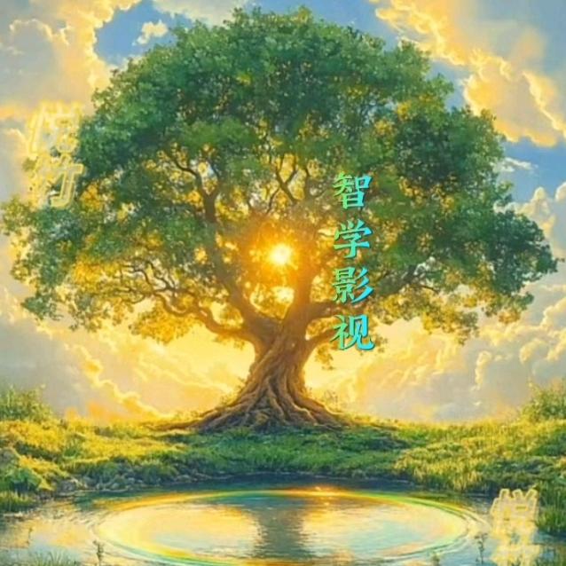 智学影视