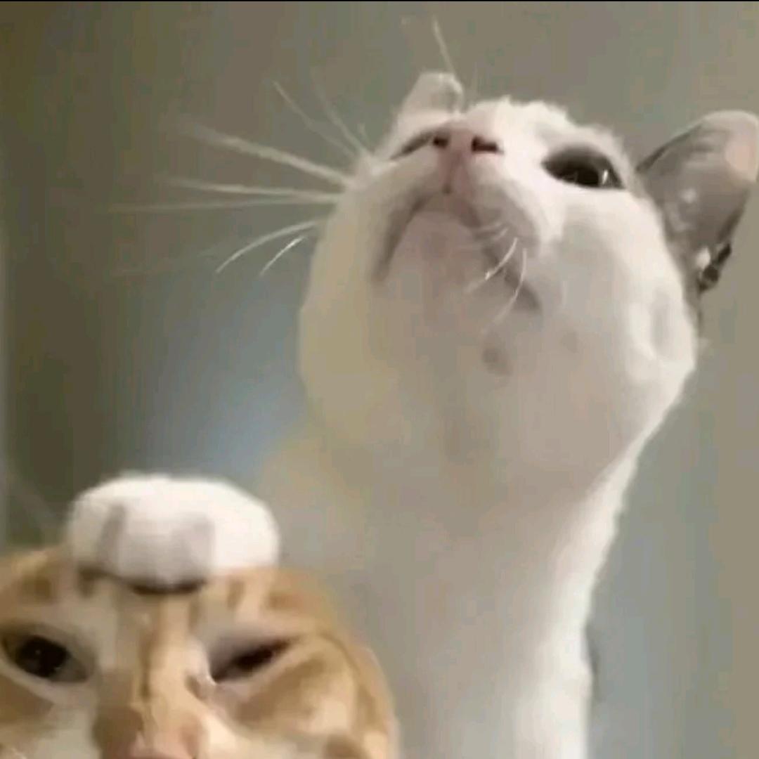 ..I..