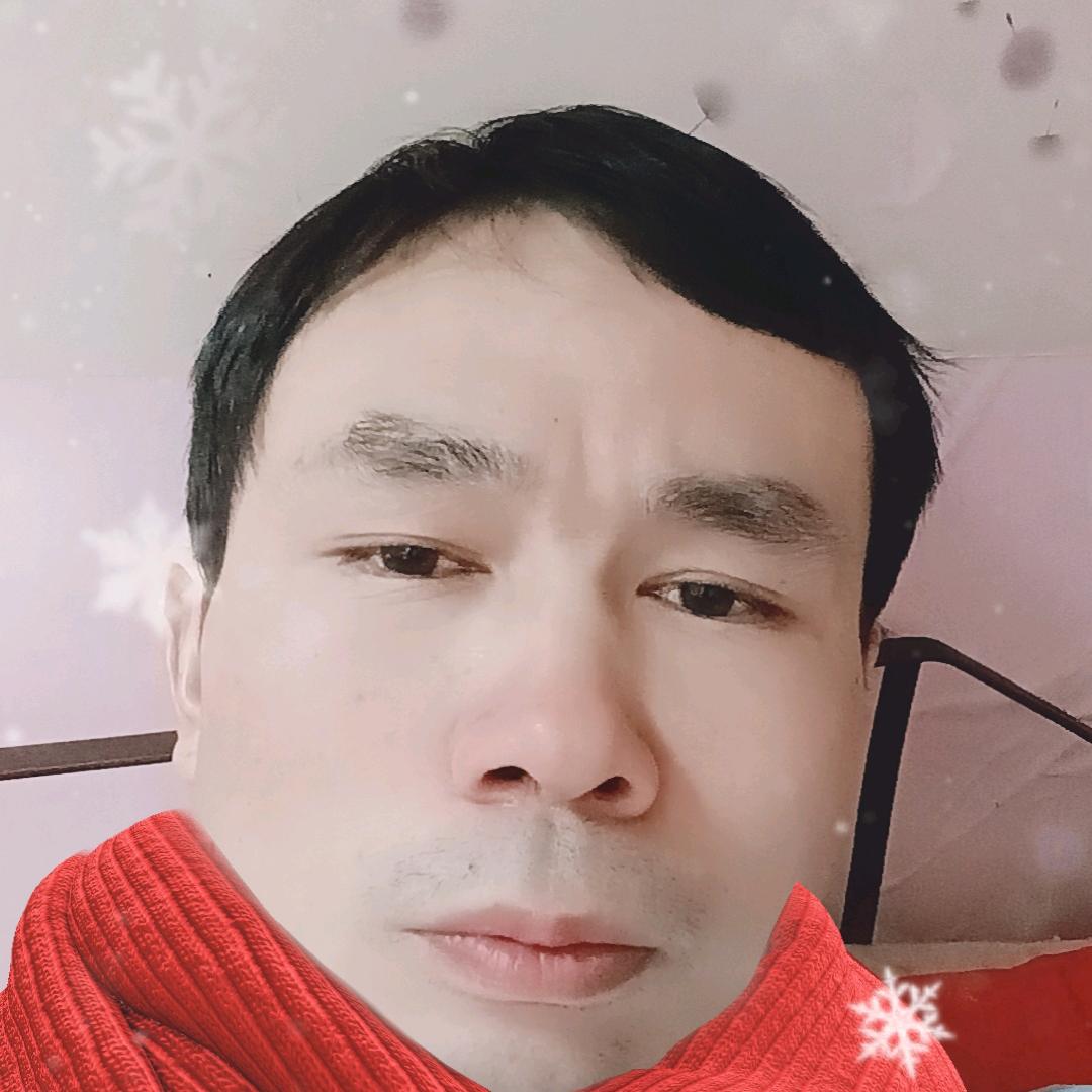 子林雨