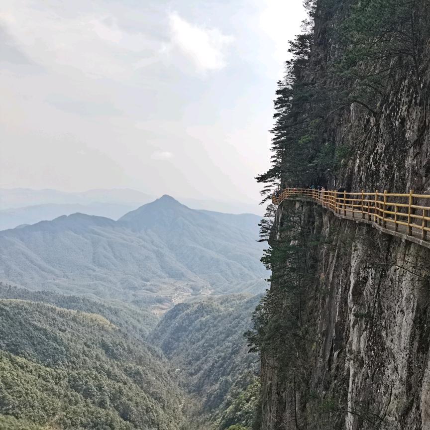 雄鹰