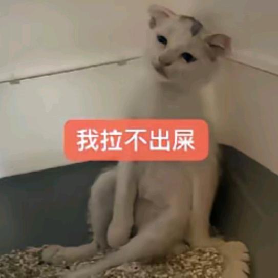 世界以痛待我，我以待以待以待以待以待以待