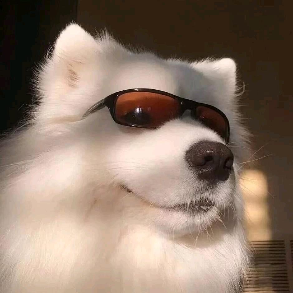 陈 不错