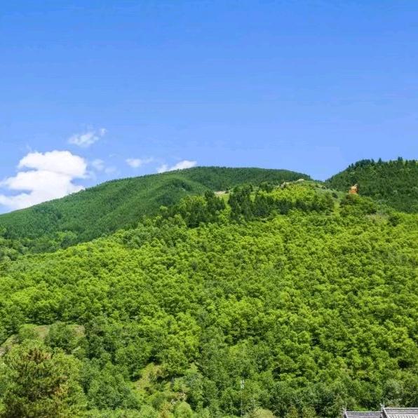 林家大院(农家院)