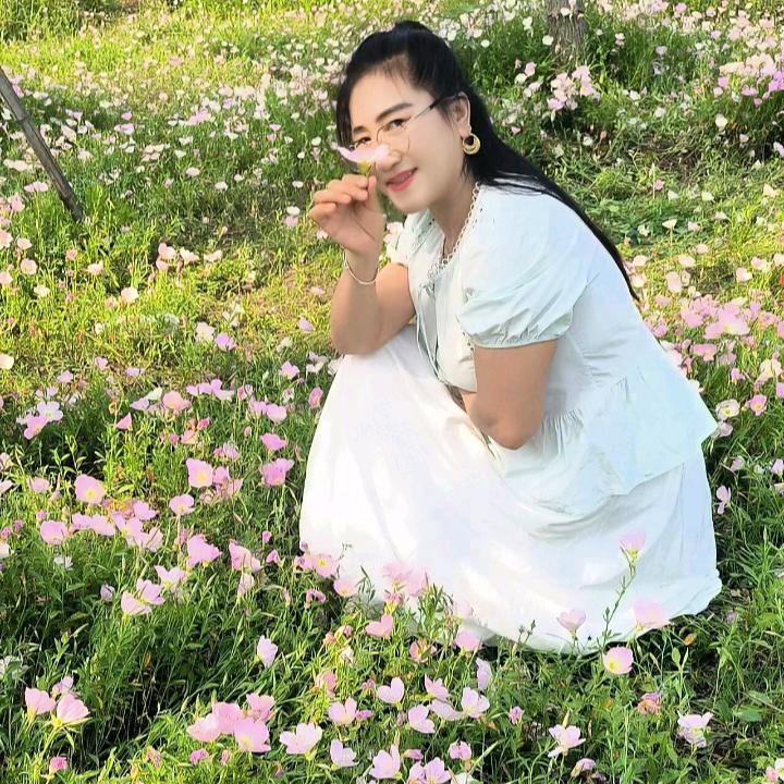 莲年好运
